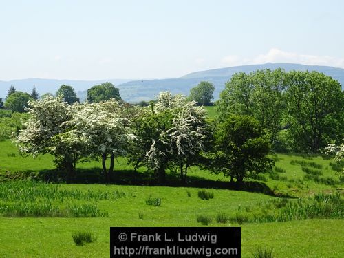 Manorhamilton Road